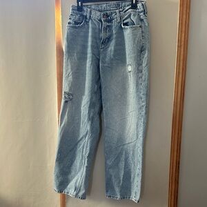 Distressed Light Blue Arizona Jeans